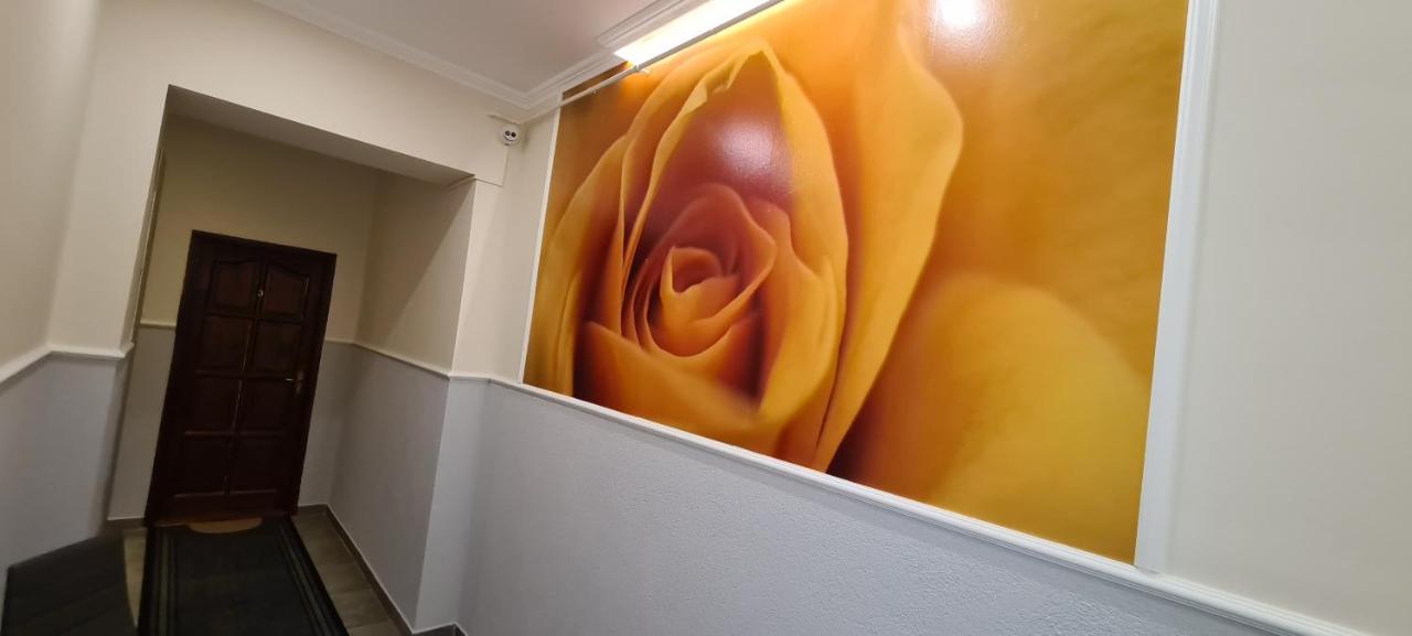 Rozsa Apartmanhaz Segedín Exteriér fotografie