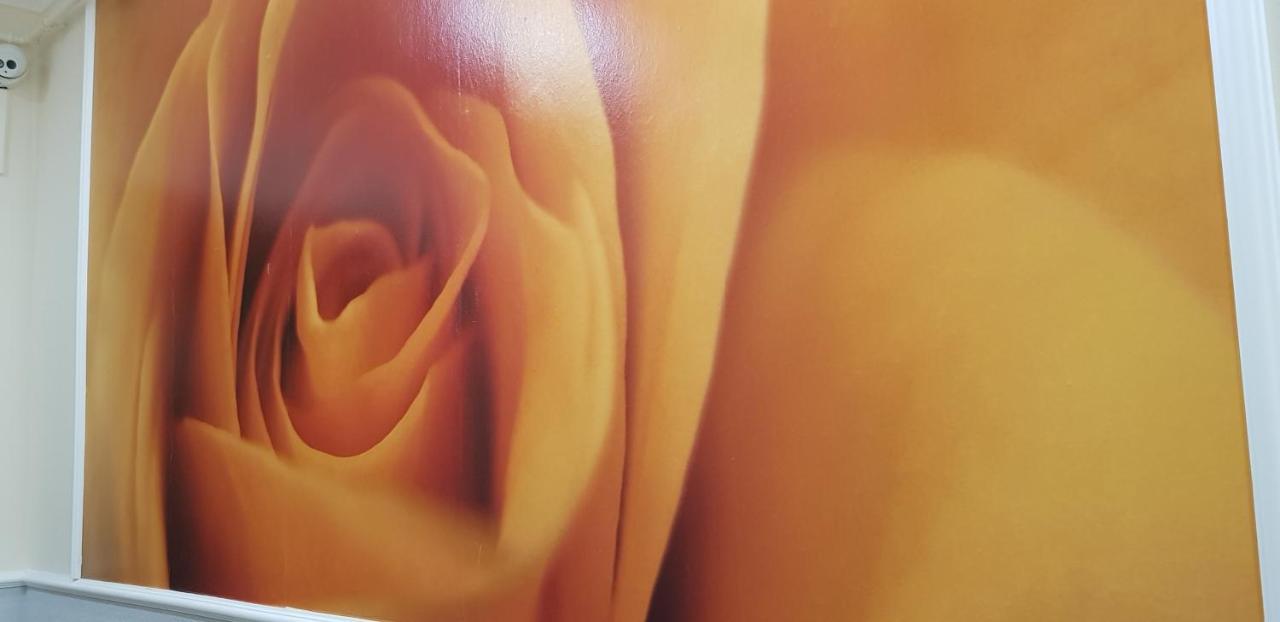 Rozsa Apartmanhaz Segedín Exteriér fotografie